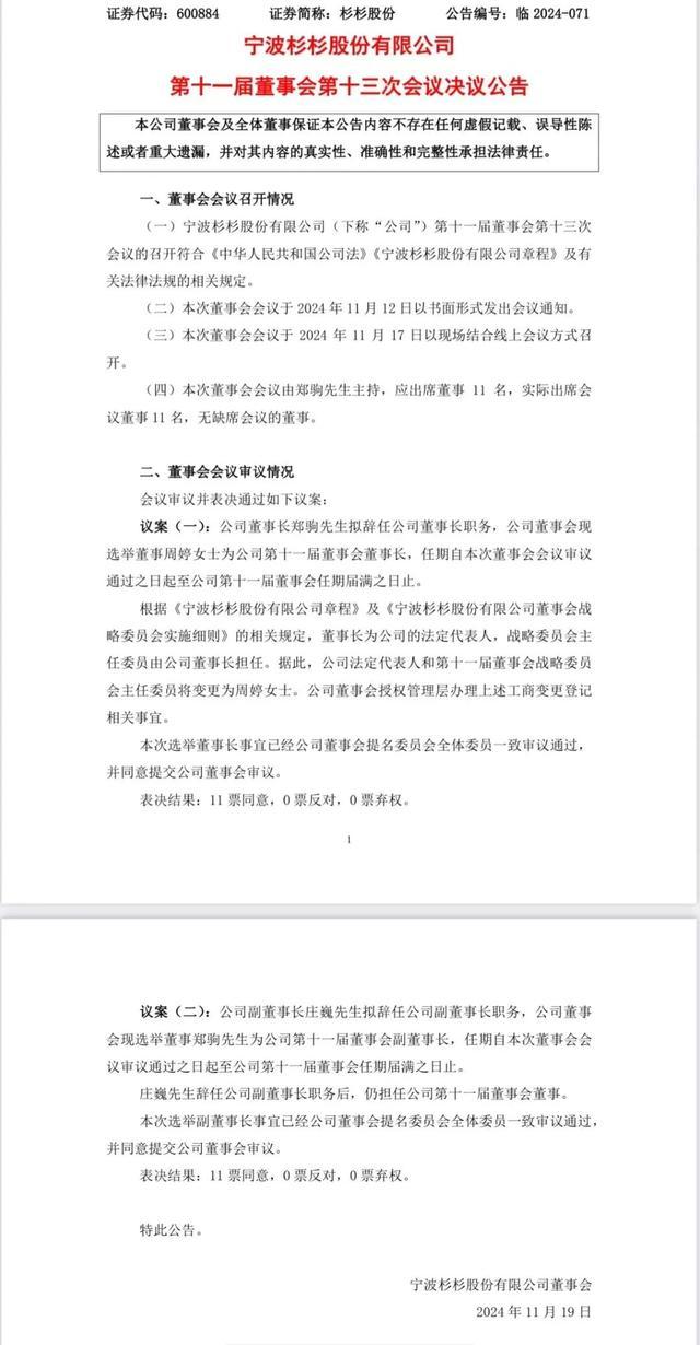 杉杉股份董事长辞职，新生代力量崛起，80后继母执掌企业领导层变革