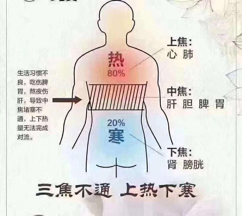 中医方法增强肾脏健康与活力秘籍