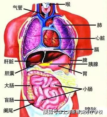 中医调节身体寒热失调的方法与策略