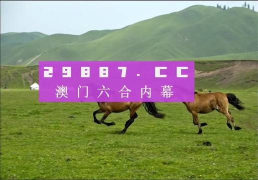 7777788888新版跑狗,科学实践路径优化_飞跃版20.77.89