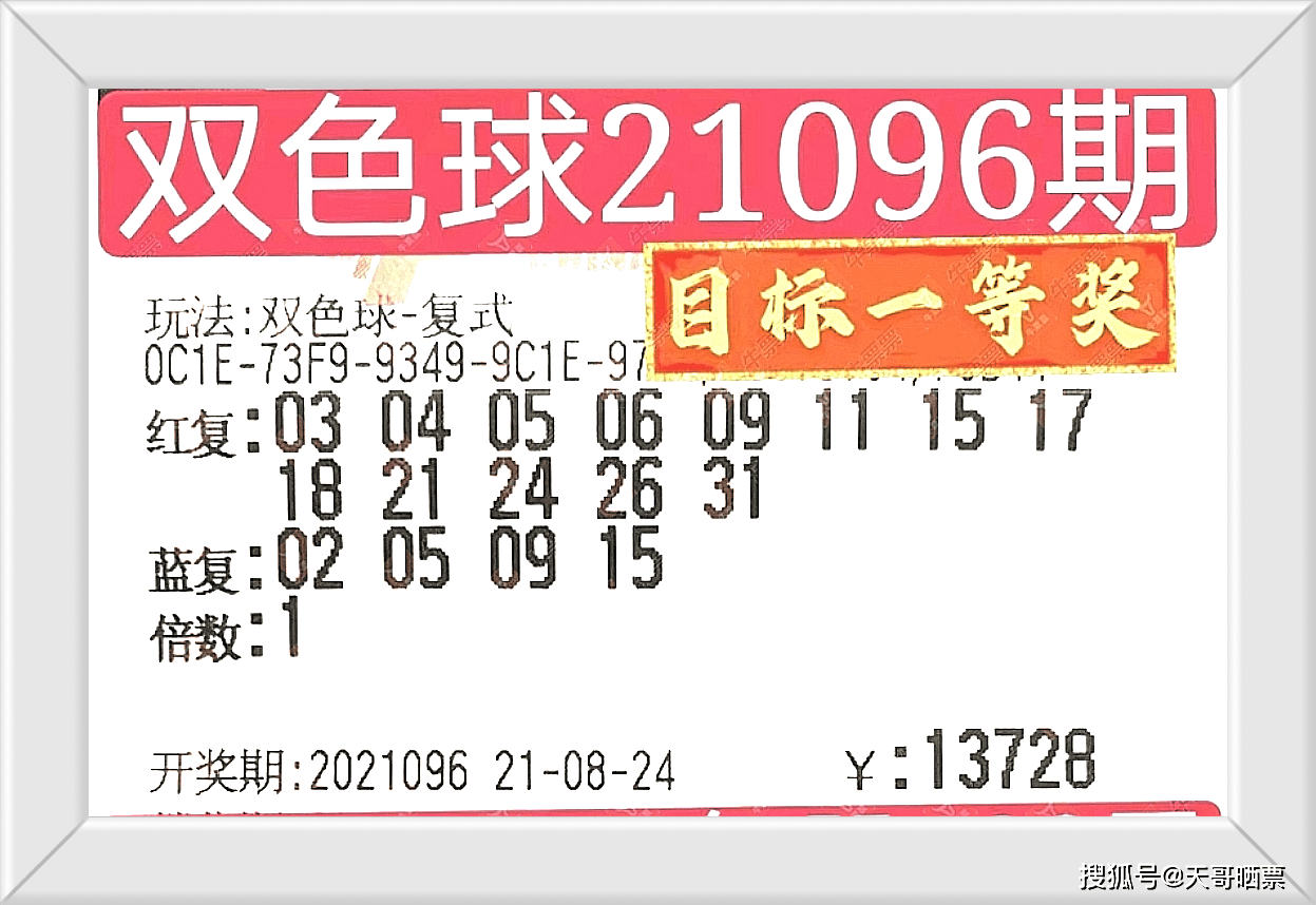 2024今晚澳门特马开什么码,智能路径精准调度执行_智创版78.32.93