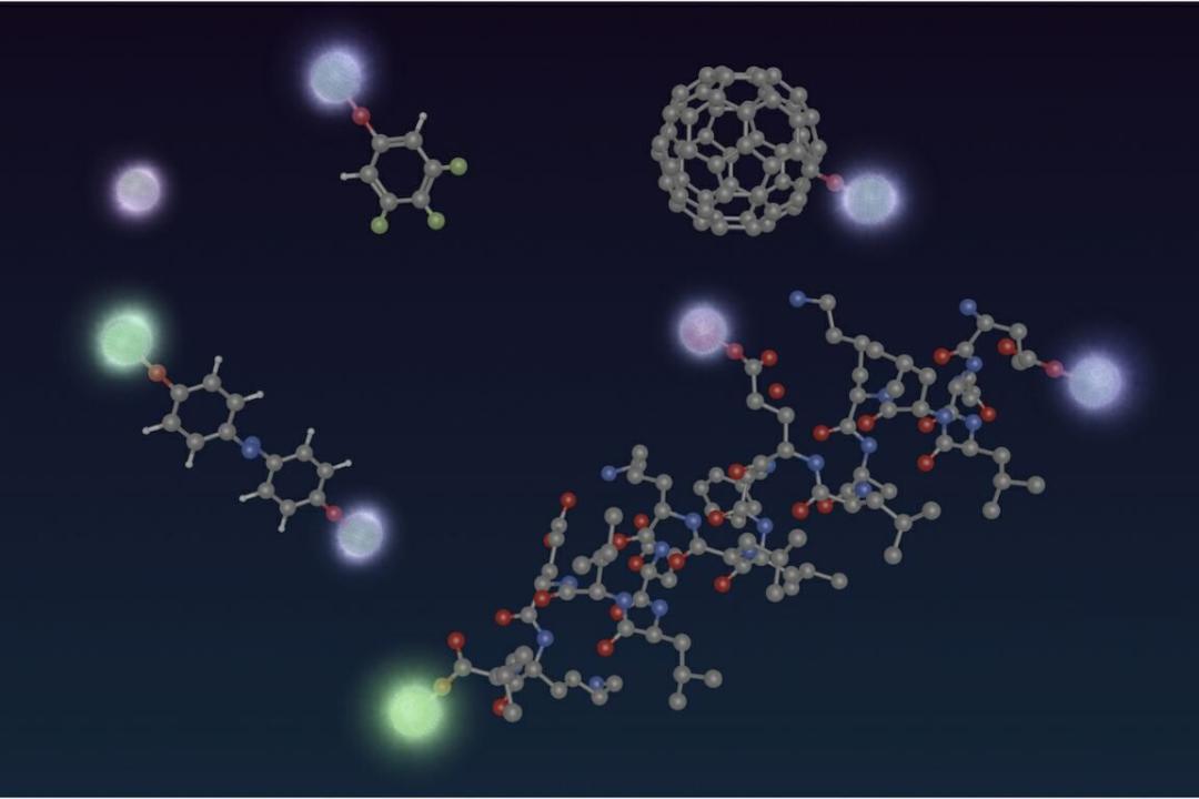 量子计算技术如何引领全球经济新方向,精密计划全面管理_飞行版46.59.39